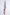 Nigara Kurozome SG2 270mm Gyuto Walnut