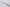 Shun Classic 180mm Santoku - White 